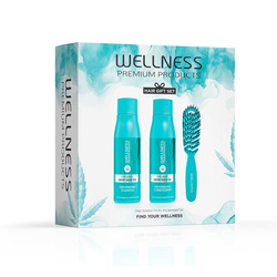 WELLNESS PREMIUM PRODUCTS Deep Hydrating zestaw głęboko nawilżający do włosów (szampon 500ml | odżywka 500ml | niebieska szczotka - mała)