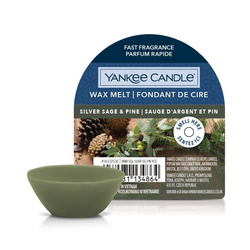 YANKEE CANDLE Silver Sage & Pine wosk zapachowy
