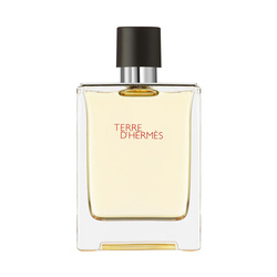 HERMES Terre D'Hermes woda toaletowa 100ml
