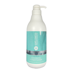 WELLNESS PREMIUM PRODUCTS Deep Hydrating odżywka głęboko nawilżająca do włosów 1000ml