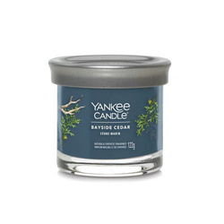 YANKEE CANDLE Signature Bayside Cedar tumbler z 1 knotami