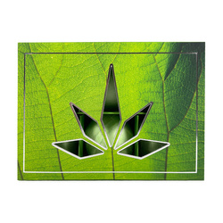 WELLNESS PREMIUM PRODUCTS zielony zestaw kul do kąpieli 6szt